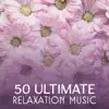Ultimate Relaxation Music 2015 song lyrics