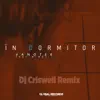 In Dormitor (feat. Minelli) [DJ Criswell Remix] - Single album lyrics, reviews, download