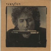 מיהו המיילל ברוח artwork