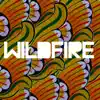 Wildfire (feat. Little Dragon) - Single album lyrics, reviews, download