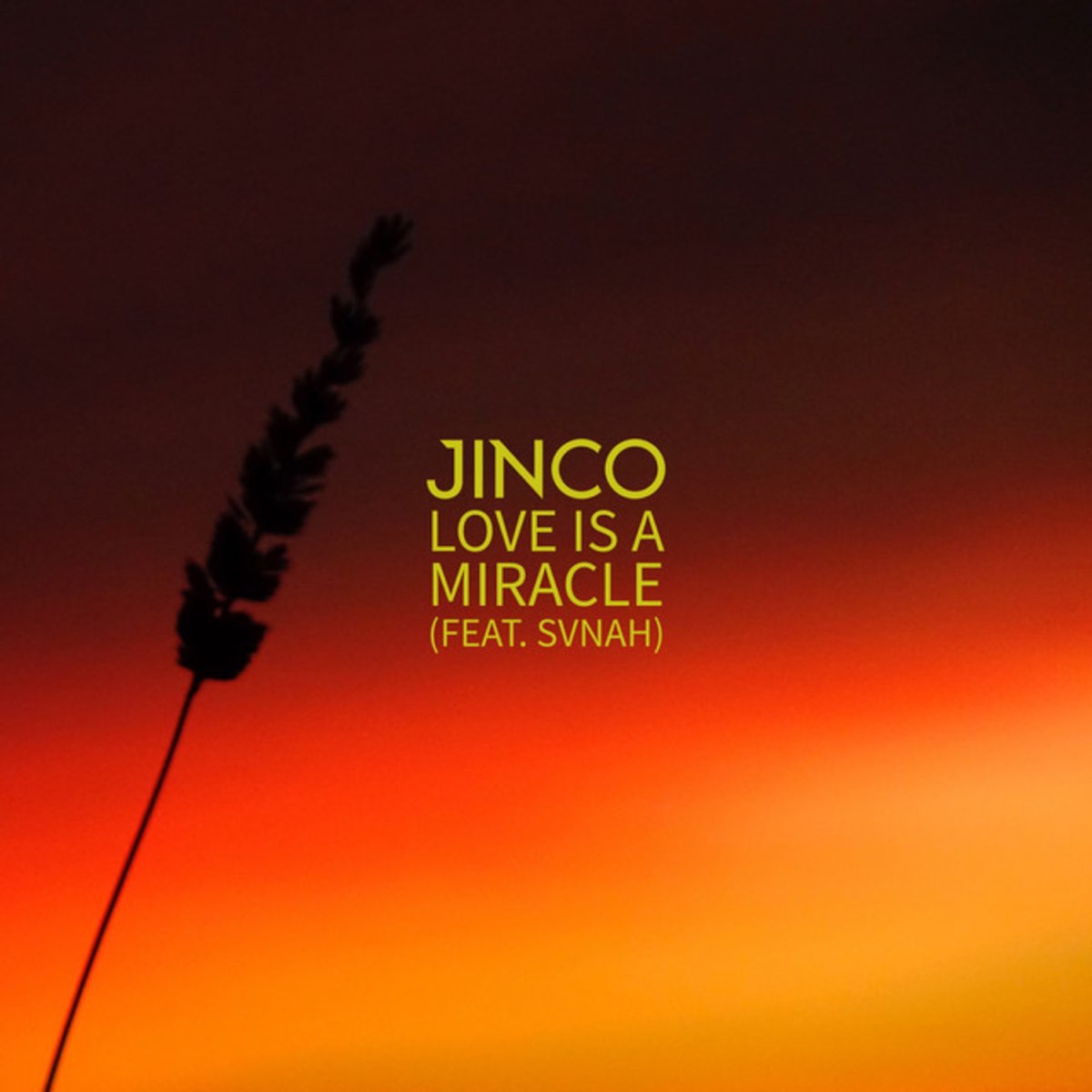 Miracle feat. Jinco. Jinco Janse. Jinco Breathe. Lovely альбомы.