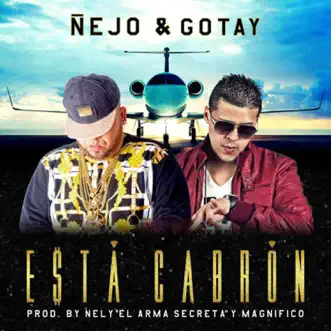 Esta C****n - Single by Ñejo & Gotay album reviews, ratings, credits