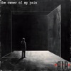 The Owner of My Pain - Single