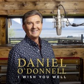 I Wish You Well (Deluxe Edition) artwork