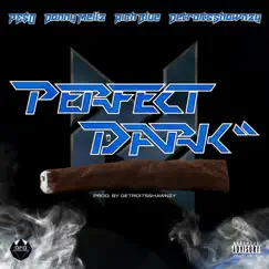 Perfect Dark (feat. PE$0, Danny Mellz & Rich Blue) Song Lyrics