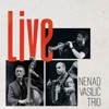 Nenad Vasilic Trio Live, 2022