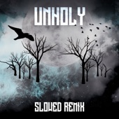 Unholy (Slowed Remix) artwork
