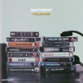 Sentiment (The Remixes) artwork