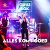 Alles Komt Goed - Single, 2017