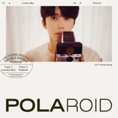 Polaroid artwork