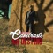 Cambiaste Mi Destino - El Mens@jero lyrics