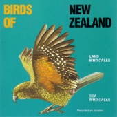 Land Bird Calls / Sea Bird Calls artwork