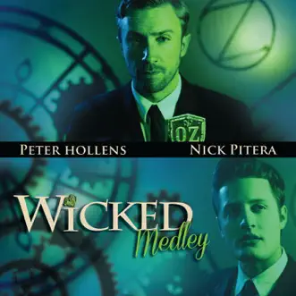 Wicked Medley (feat. Nick Pitera) by Peter Hollens song reviws