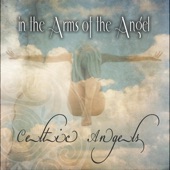 In the Arms of the Angel artwork