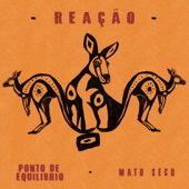 Reação artwork