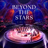 Beyond the Stars (Live) artwork