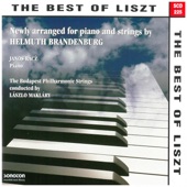 The Best of Liszt artwork