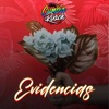 Evidencias - Single