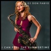 I can feel the Summertime - Single