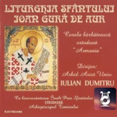 Liturghia Sfântului Ioan Gură De Aur artwork