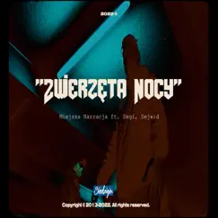 Zwierzęta Nocy (feat. Segi & Dejwid) - Single by Miejska Narracja album reviews, ratings, credits