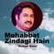 Mohabbat Zindagi Hain artwork