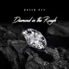 Diamond in the Rough - Single album lyrics, reviews, download