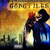 Gang Files artwork