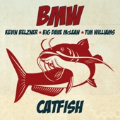 Catfish artwork