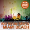 Big Room Beats in Miami Beach, Pt. 1, 2012