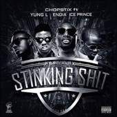 Stinking S**t (feat. Ice Prince, Yung L & Endia) artwork