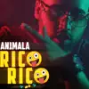 Rico Rico - Single album lyrics, reviews, download