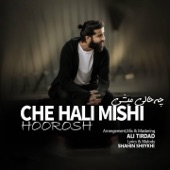 Che Hali Mishi artwork