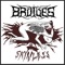 Skinless - Bruises lyrics