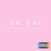 Lo Sai (feat. SamuDiffo) artwork
