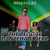 The Reggae Dancehall Hero artwork