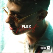 Flex artwork