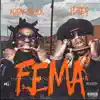 F.E.M.A. (Finesse Elevate Motivate Achieve) album lyrics, reviews, download