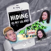 Hiding In My Island (feat. Zoe The Chef) artwork
