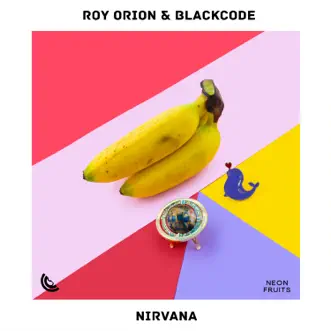 Nirvana - Single by Roy Orion & BlackCode album reviews, ratings, credits