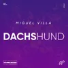 Dachshund - Single album lyrics, reviews, download