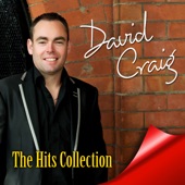 David Craig - Working Man