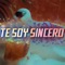 Te Soy Sincero artwork