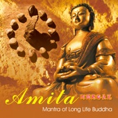 Amita Mantra of Long Life Buddha artwork
