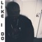 Like I Do - LaShaun Love lyrics