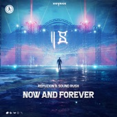 Now and Forever (Extended Mix) artwork