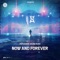 Now and Forever (Extended Mix) artwork