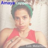 Amaya Coppens artwork