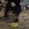 Final Form - Single