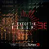 Eye Of The Tiger (feat. FJØRA) - Single album lyrics, reviews, download